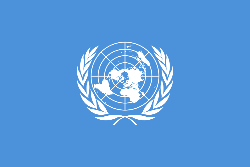 Gör FN-konventionen till lag